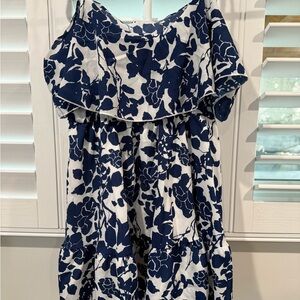 Floral Blue and White  Dress